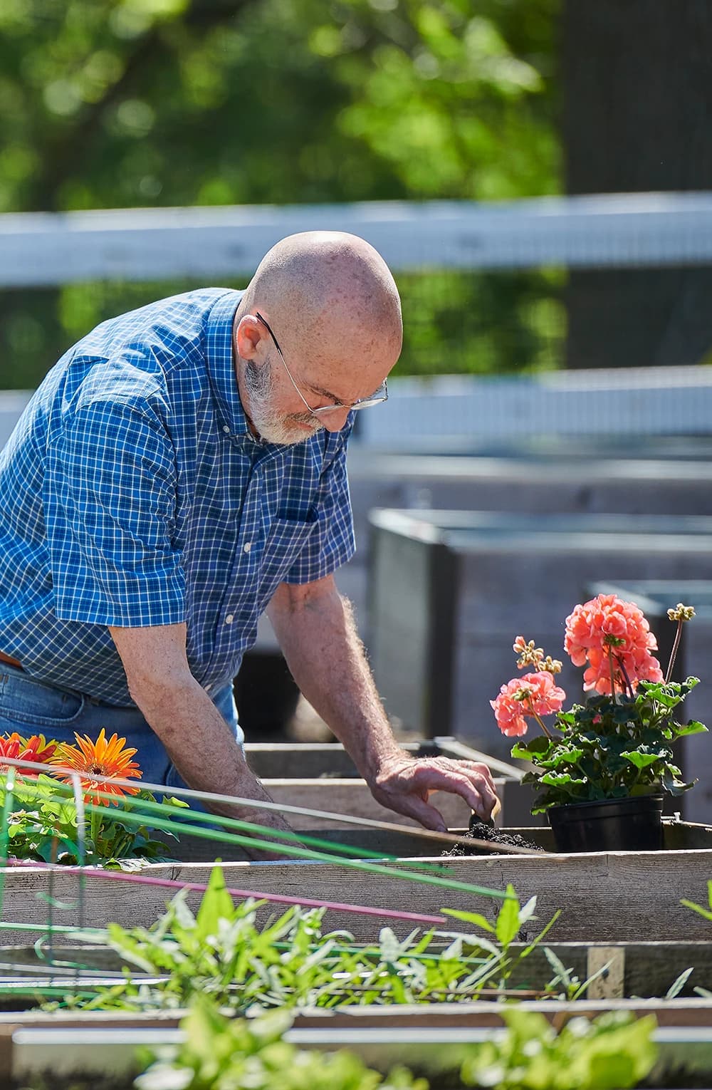 Man gardening