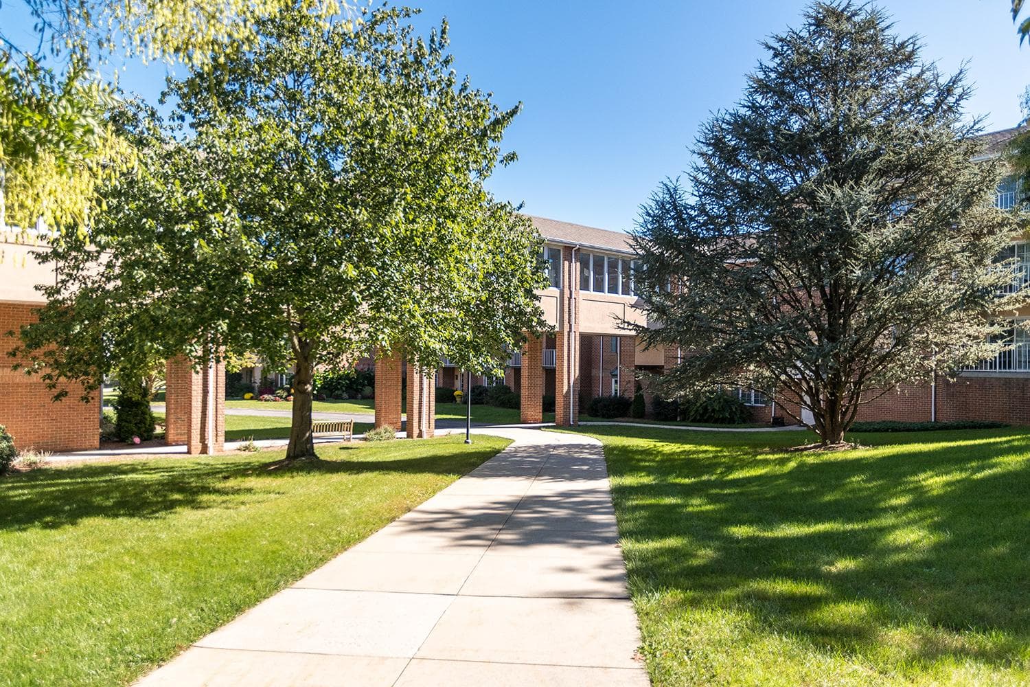 Outdoor grounds sidewalk