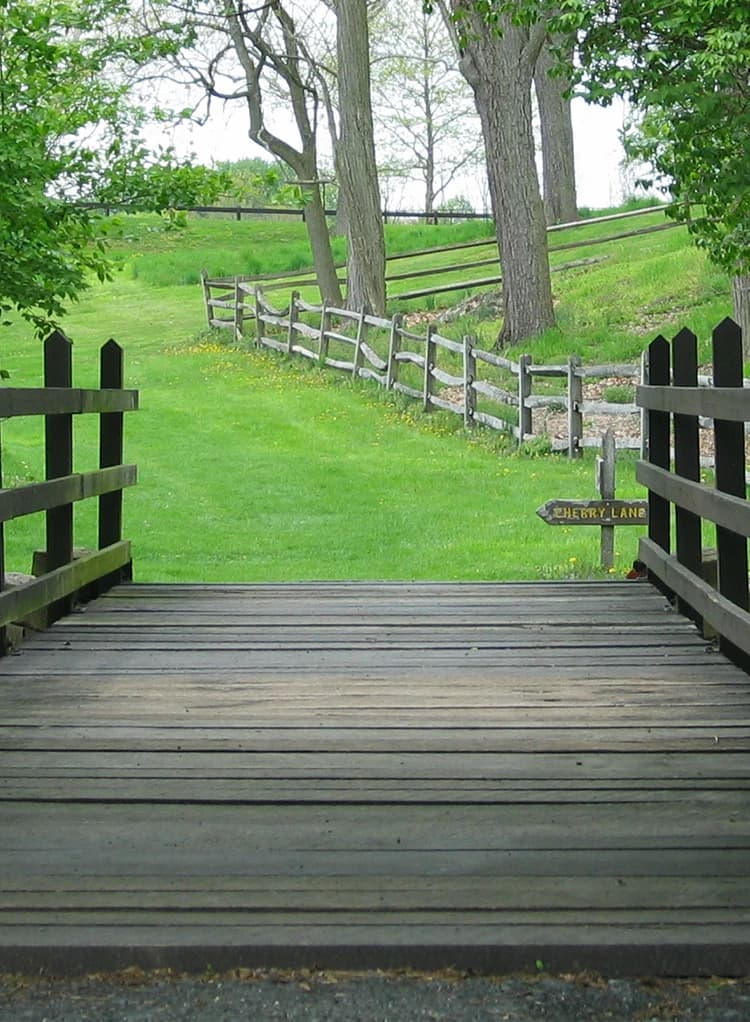 Wooden bridge leading to walking path