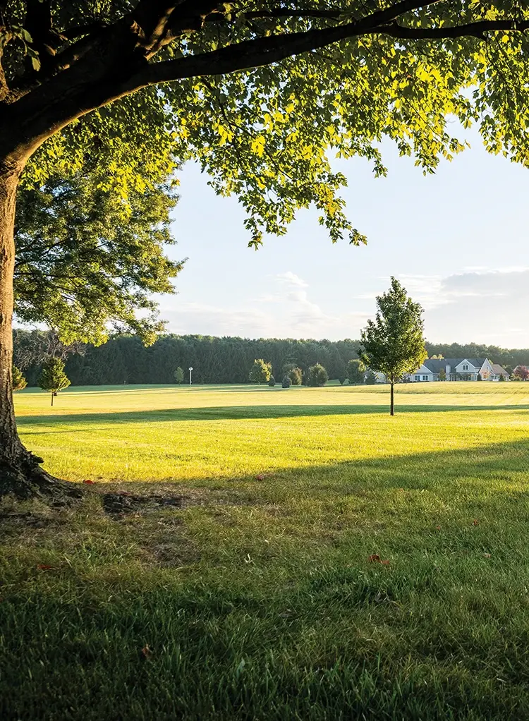 Landscape with houses in distance