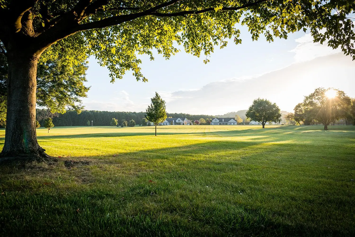 Landscape view with houses in the distance