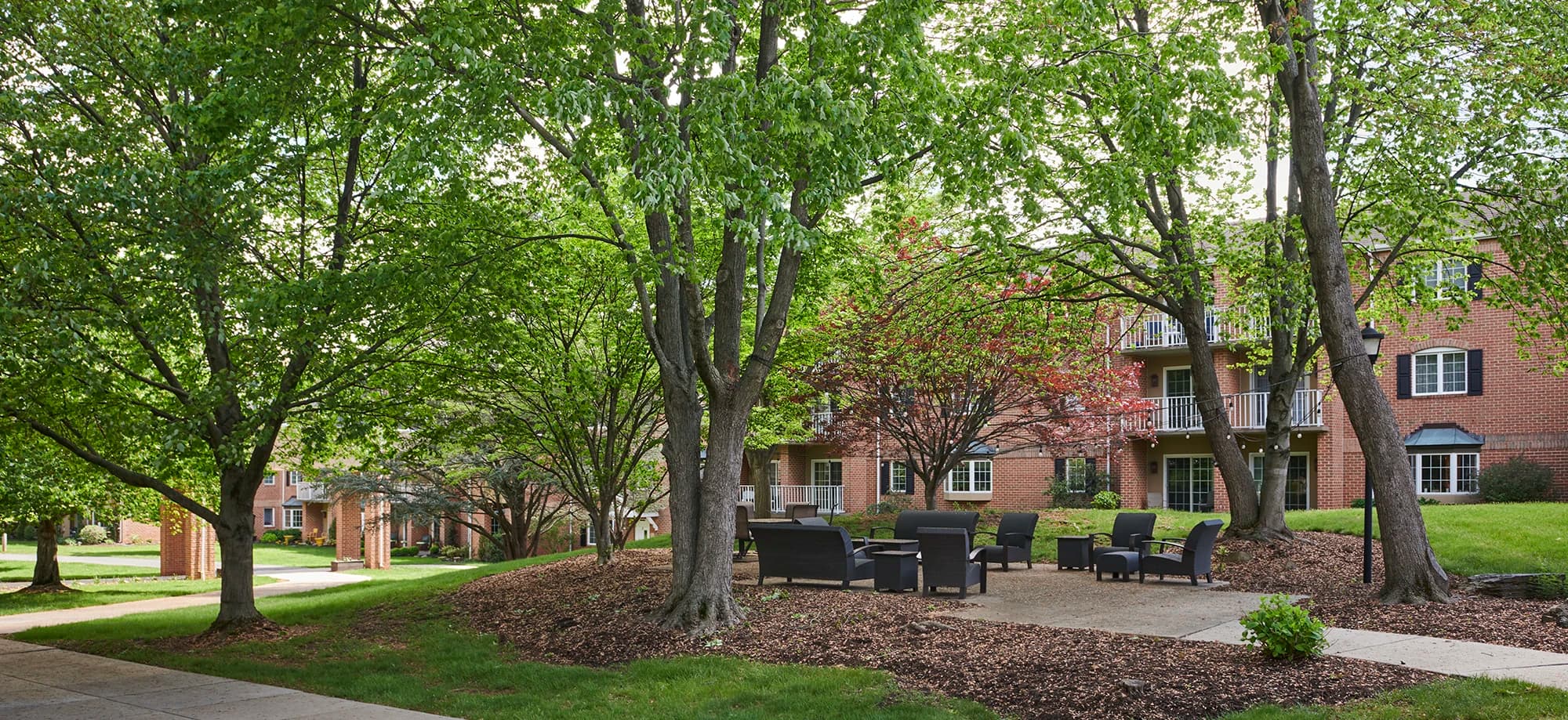 Outdoor sitting area under trees