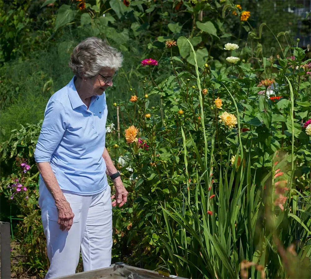 Woman walking through garden next to flowers