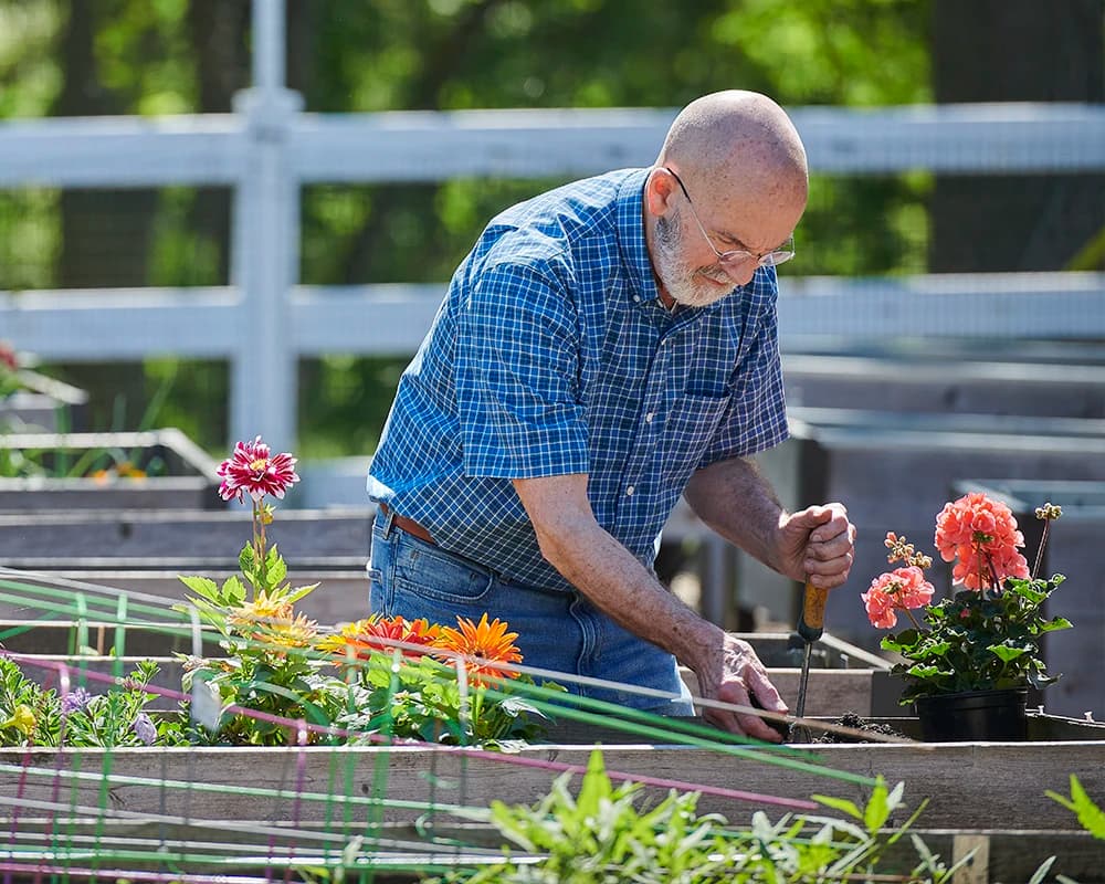 Man tending to a garden